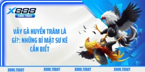 Vảy gà Huyền Trâm là gì